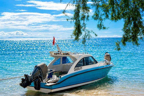 Lombok: Private Speedboat Transfer between Bangsal and Gilis