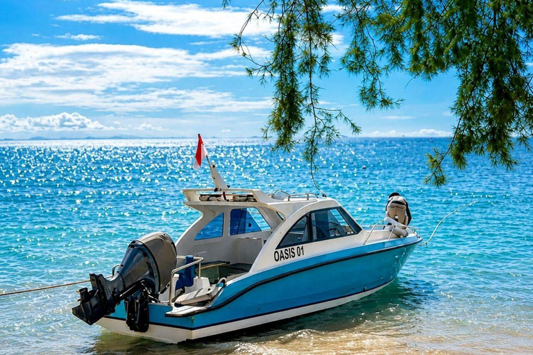 Lombok: Private Speedboat Transfer between Bangsal and Gilis