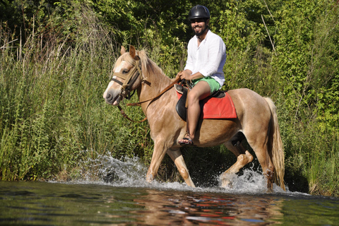 Marmaris/Icmeler : Horseback Riding Tour with Hotel Transfer