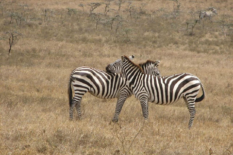 Nairobi: Park Narodowy Hell&#039;s Gate i jezioro Naivasha - dzień ...