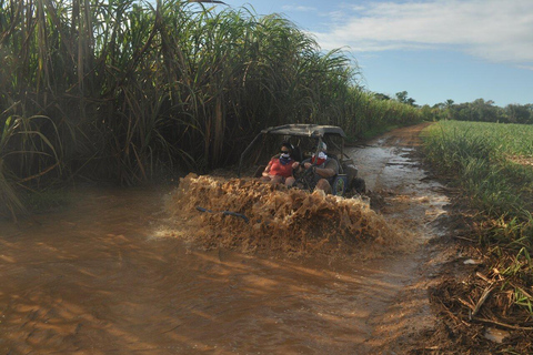 Private: Sunset Horseback Experience — Macao Forest & Beach