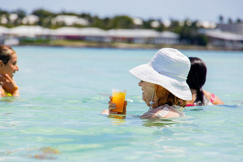 Visite d&#039;une demi-journée de la mer des Caraïbes et du lagon