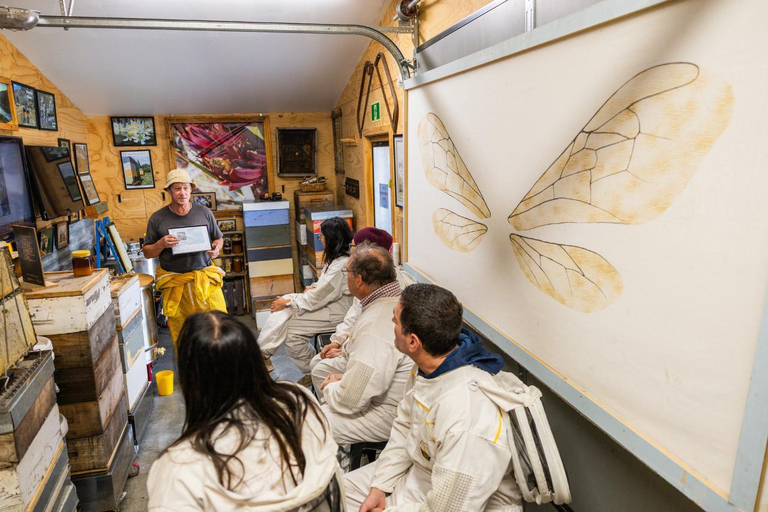 Queenstown: Beekeeping and Honey Spinning Experience