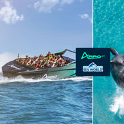 Gold Coast: Jet Boat Ride & Sea World Entry Ticket