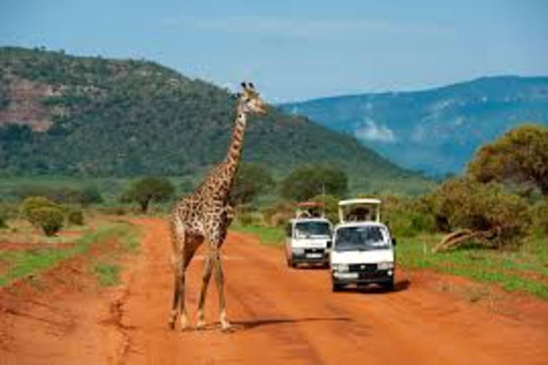 From Mombasa: 3-Day Private Tsavo East Safari with Lodging