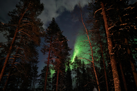 Rovaniemi: Garantiertes magisches Nordlicht-AbenteuerPrivate Jagd auf Nordlichter