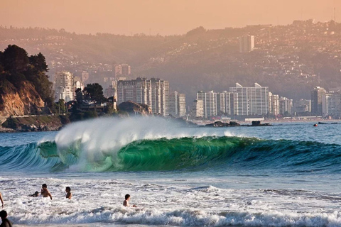 Valparaiso, Viña del Mar, vinícola, leões marinhos e passeio de barco