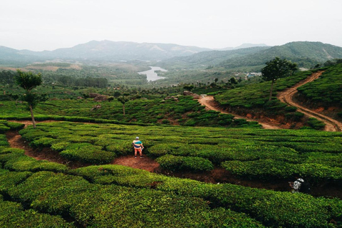 Kochi: 3-Day Kerala Tour with Munnar and Alleppey Cruise