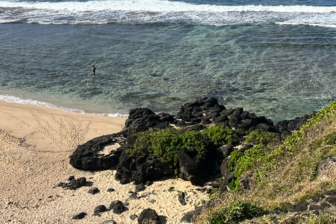 Descubriendo el sur. Paseos a caballo por la playa, excursiones a cascadas.