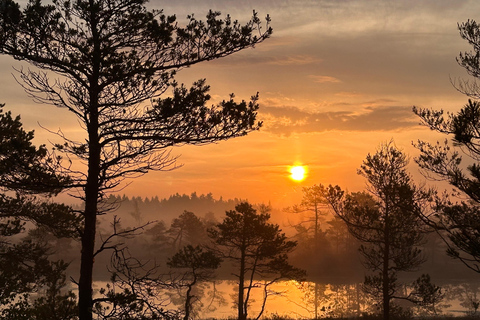 Sunrise Tour To Great Kemeri Bog