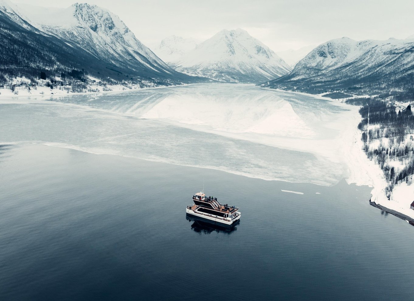 Tromsø: Arktisk fjordkrydstogt med stop på land ved fiskestativer