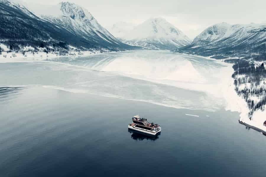 Tromsø: Arktische Fjord-Kreuzfahrt mit Landgang an Fischständern. Foto: GetYourGuide