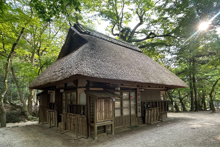 Nara: tour con ciervos, el Gran Buda y demostración de mochi