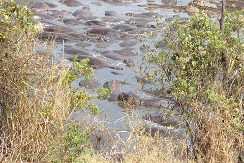 Tanzania: Safari de última hora de 3 días con alojamiento