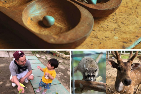 Penang Village Fun: Congkak Game, Local Treat & Petting Zoo
