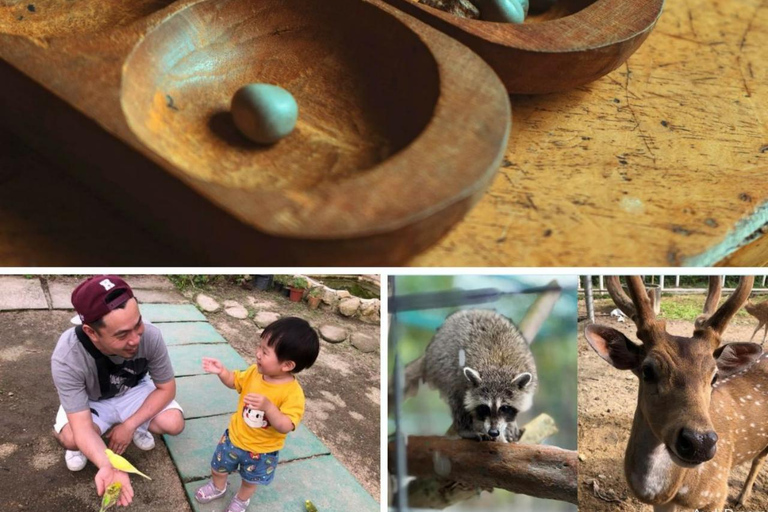 Penang Village Fun: Congkak Game, Local Treat & Petting Zoo