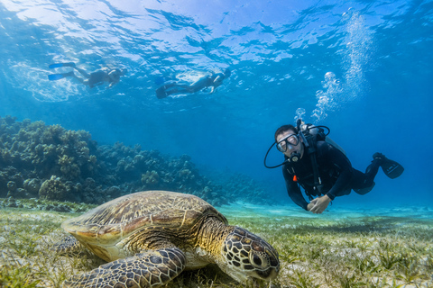 Marsa Alam: Diving & Snorkel Trips on the Boat with Lunch
