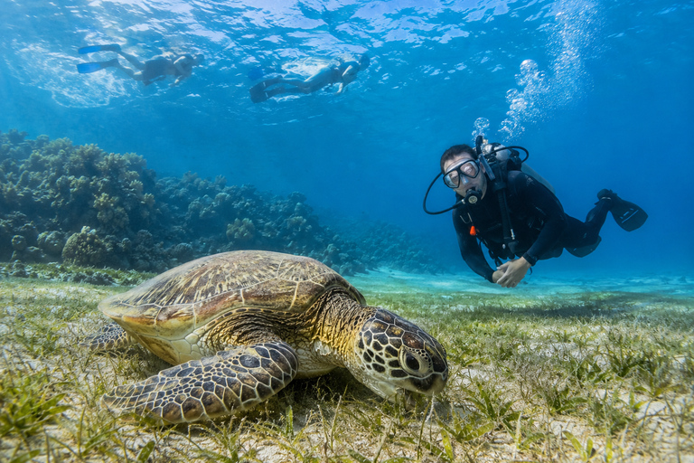 Marsa Alam: Diving & Snorkel Trips on the Boat with Lunch