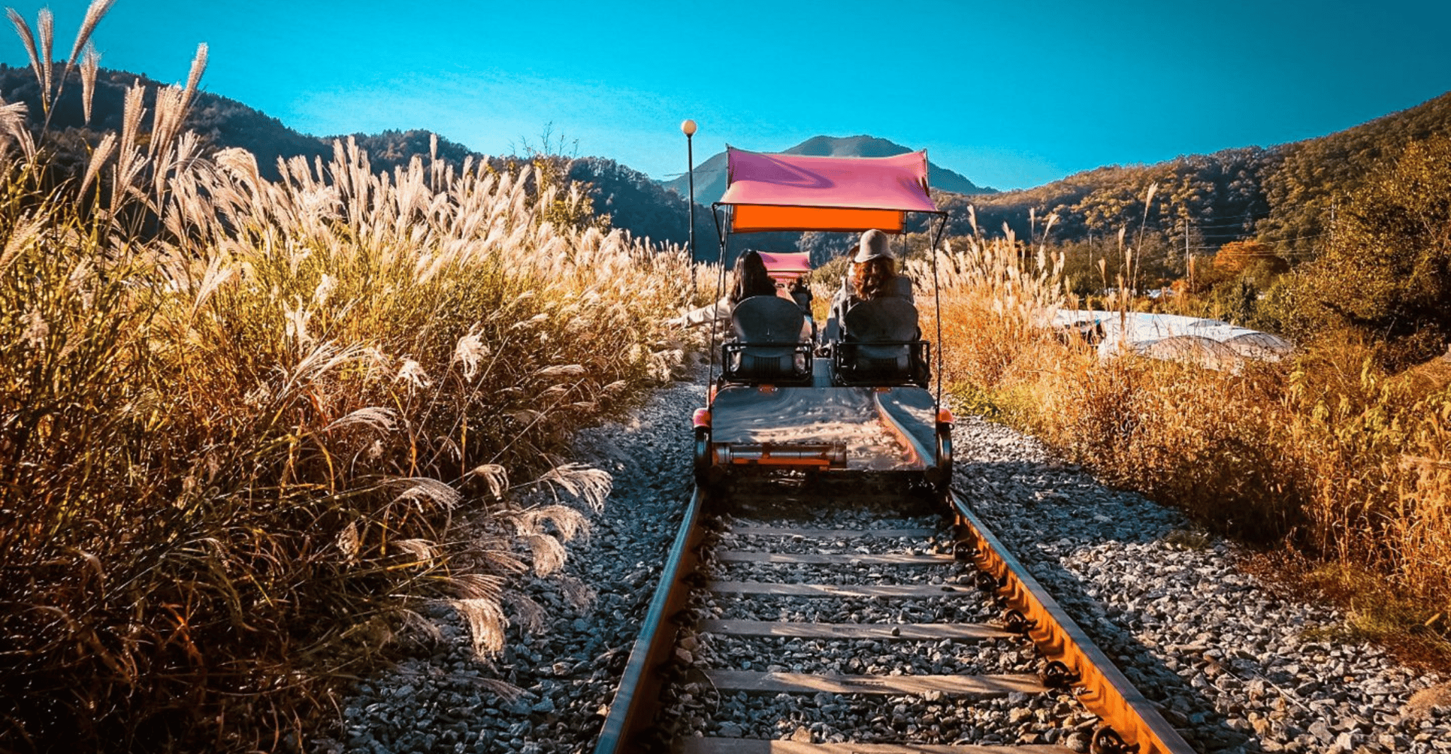 From Seoul, Nami Island, Korean Garden & Rail Bike Day Trip - Hizvo