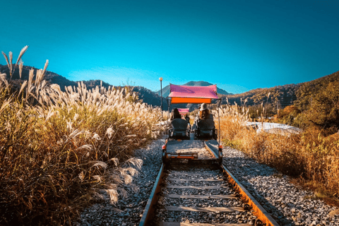 Depuis Séoul : L'île de Nami, le jardin coréen et l'excursion en vélo sur rail