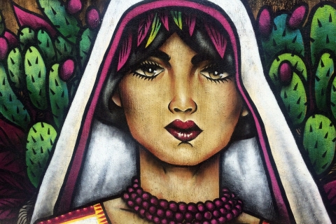 Private Tour of Murals in Downtown from Mexico City