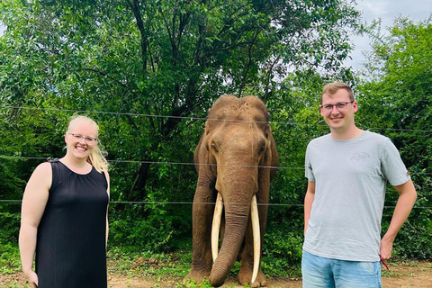 From Kandy: Sigiriya and Dambulla Day Tour with group tours