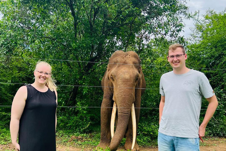 From Kandy: Sigiriya and Dambulla Day Tour with group tours