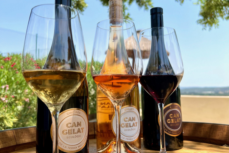 Mallorca: Wine Tasting, Vineyard Tour & Luxury Tapas