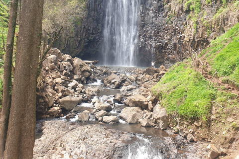 Day Trip To Materuni For Waterfall, Coffee Tour & Local Dish