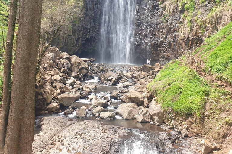 Day Trip To Materuni For Waterfall, Coffee Tour & Local Dish