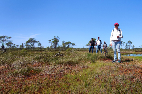 Avventura nella natura - Escursione in torbiera, Foraging, Cultura di campagna