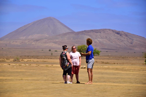 Snorkel, excursión a la isla, excursión a las tortugas, catamarán, pescaExcursión por la isla. Snorkel, pesca, observación de tortugas.Catamarán
