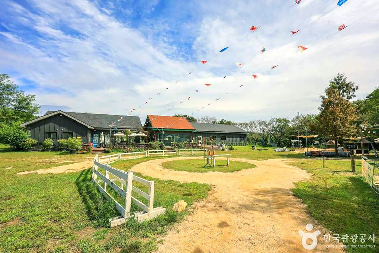 From Seoul: Wonju Nature Day Trip, Ginkgo Tree & Cable Car A. [Spring] Sogeumsan Cable Car & Cherry Blossom Tunnel Tour