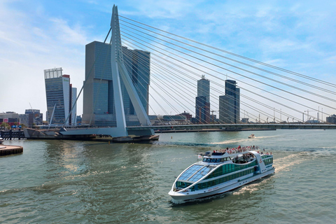 Rotterdam City Card: Discounts & Unlimited Public Transport 2-Day Rotterdam City Card + Unlimited Public Transport