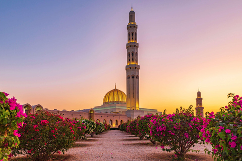 Muscat stadsrundtur - halvdagHalvdagstur till Muscat