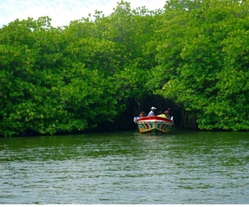 De Kalutara: Safari exclusivo no rio Madu e incubadora de tartarugas