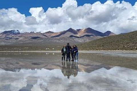 Full Day: excursion in Arequipa Laguna de Salinas