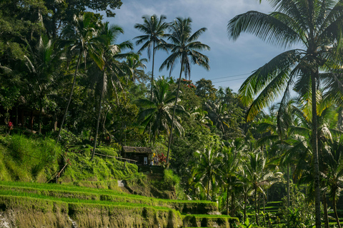 Bali: Ubud Temples, Rice Terraces, & Waterfall Day Tour
