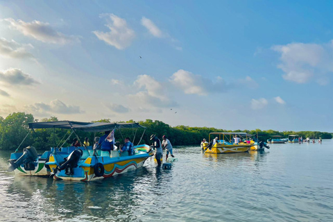 From Negombo: Boat Tour of Negombo Lagoon