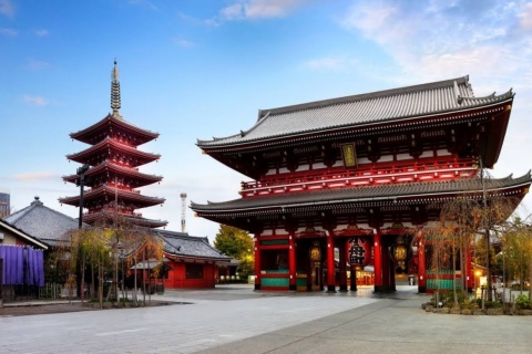 Visite privée de Tokyo en voiture avec guide anglophoneToyota Alphard