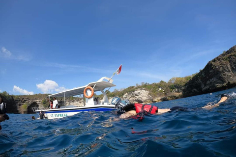 Bali : Bästa dagsutflykten till ön NusapenidaAlternativ prissättning Snorkling utvald och öutflykt