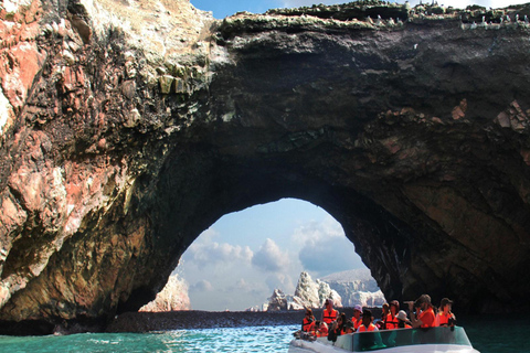 Da Lima: Tour di un giorno a Paracas, Ica e Huacachina