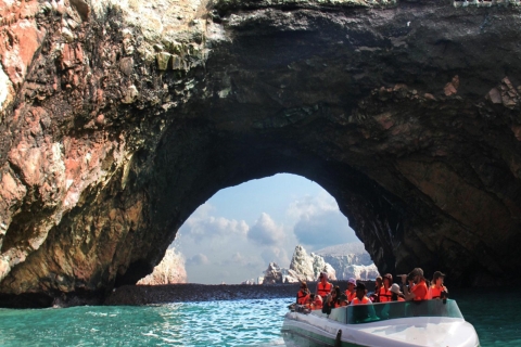 Tagestour zu den Ballestas Inseln und dem Paracas Nationalreservat