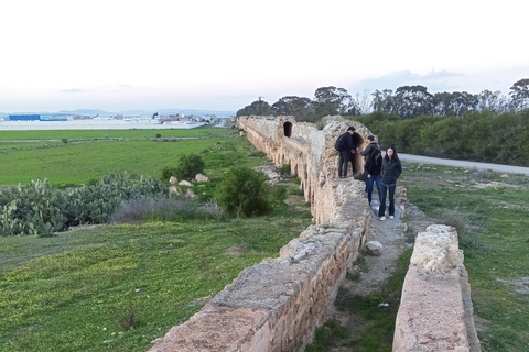 From Tunis: Bardo Museum, Oudhna & Aqueduct Private Tour