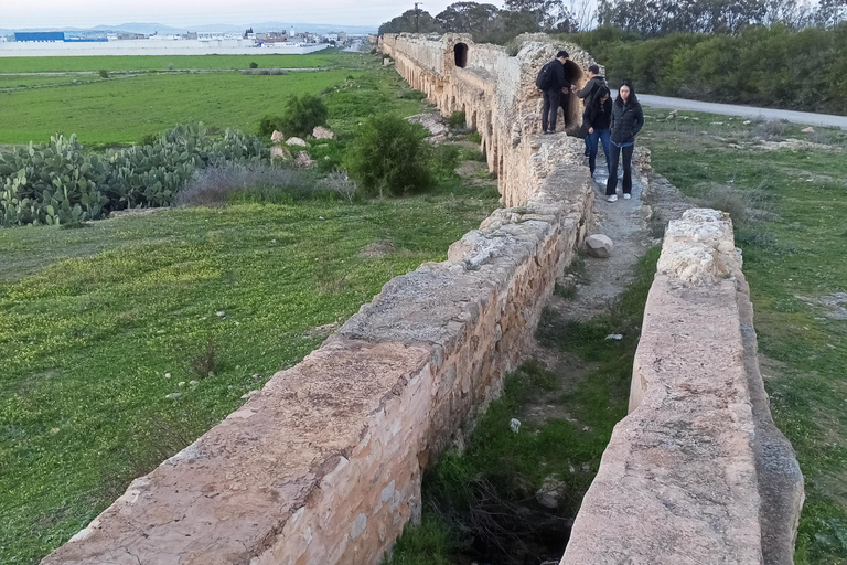 From Tunis: Bardo Museum, Oudhna & Aqueduct Private Tour