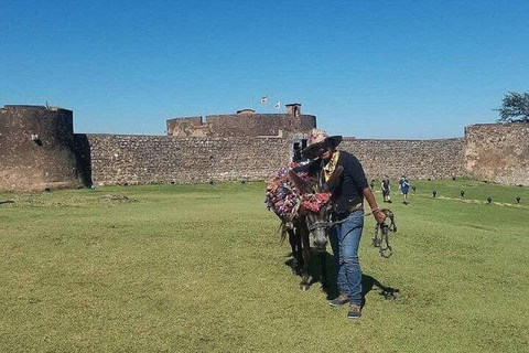 Puerto Plata: Buggy Ride, City Tour & Beach Experience