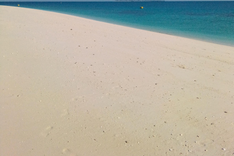 Zanzibar: tour guidato dell'isola prigione con guida localeZanzibar: tour guidato dell'isola prigione con una guida locale