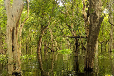 Khao Lak Hidden Gems - (Canoes, Turtles, and Temples)