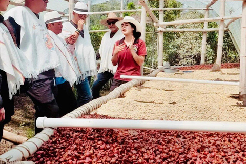 Bogotà: Coltivatore di caffè per un giorno con pranzoBogotà: Tour del caffè