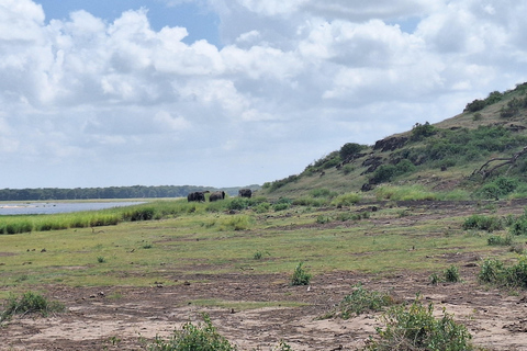 Nairobi: Amboseli National Park Tagestour mit PirschfahrtenSolo Nairobi: Amboseli National Park Tagestour